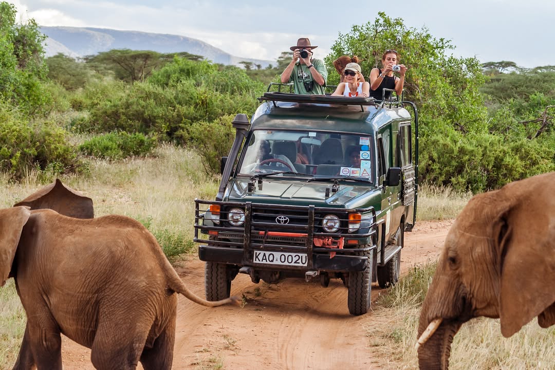 Game Drive Africa
